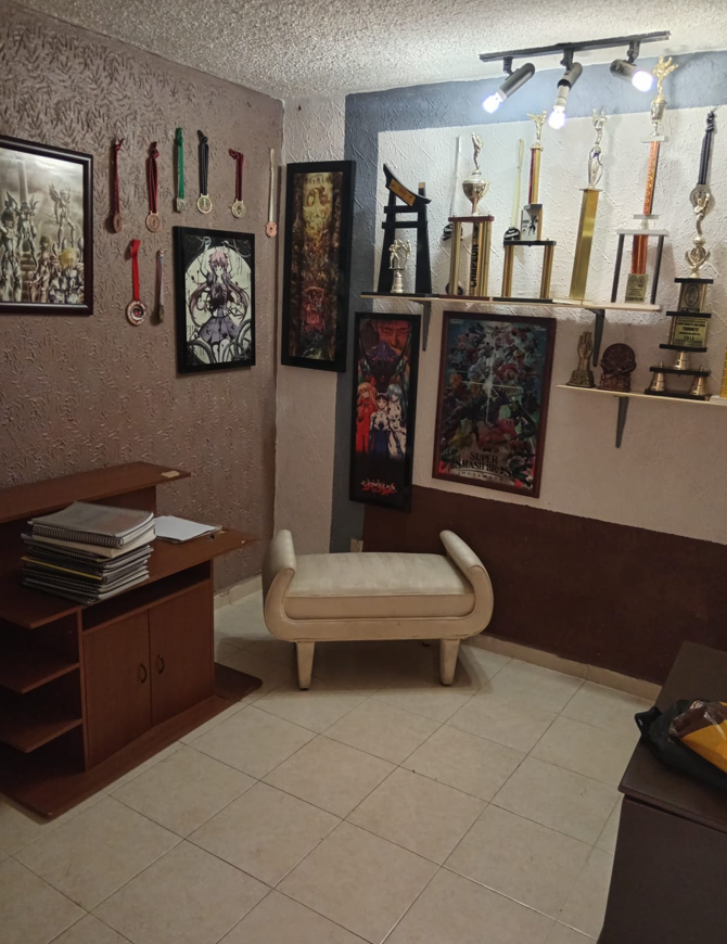 Casa en Venta en Privadas de San Fernando, Mineral de la Reforma | 3 Plantas, 200 m² – Foto 4 Casa en Venta en Privadas de San Fernando, Mineral de la Reforma | 3 Plantas, 200 m²
